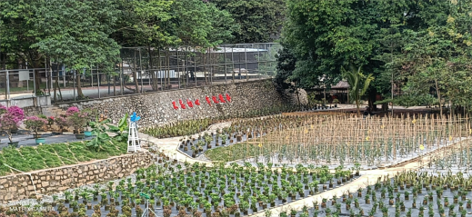 图片4(1).png 图片4(1).png