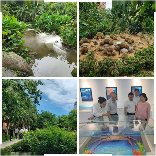 图片10(1).png 图片10(1).png