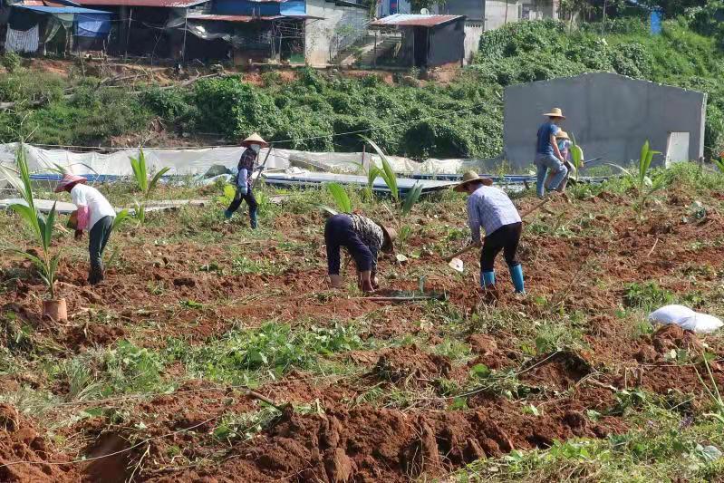 微信图片_201910241030471.jpg 微信图片_201910241030471.jpg