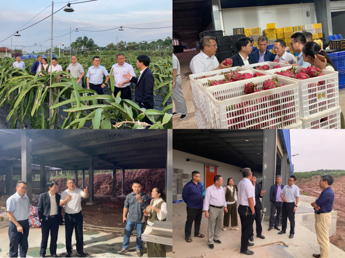 微信图片_20201104101138_编辑.jpg 微信图片_20201104101138_编辑.jpg