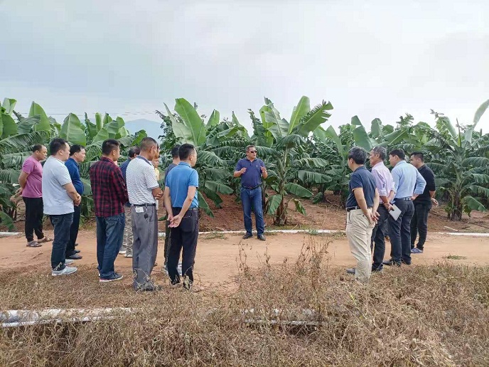 27b64a9929336cc42693a34177f7f30.jpg 27b64a9929336cc42693a34177f7f30.jpg