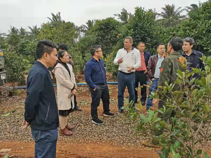 WechatIMG70.jpeg WechatIMG70.jpeg