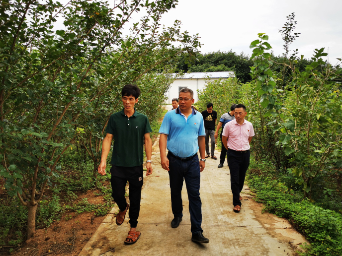 图片1.jpg 图片1.jpg