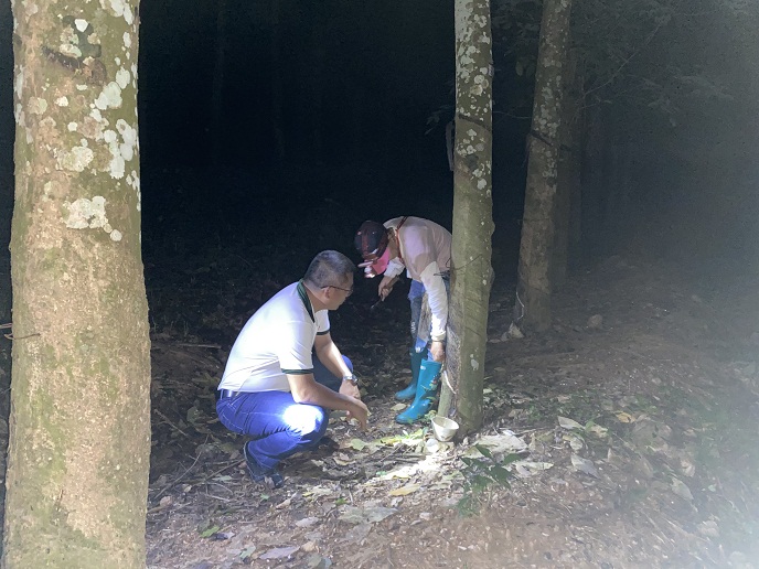 微信图片_20200908190459.jpg 微信图片_20200908190459.jpg