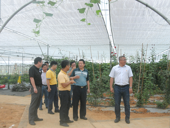 DSC_0887_副本.jpg DSC_0887_副本.jpg