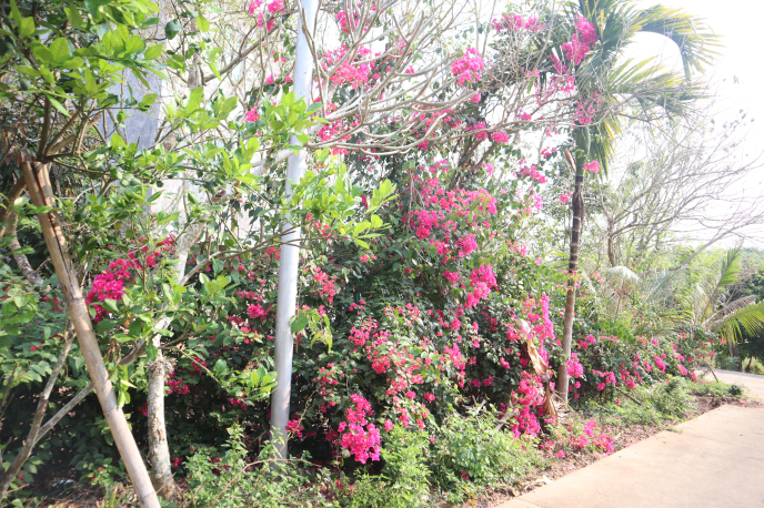 IMG_3473.jpg IMG_3473.jpg