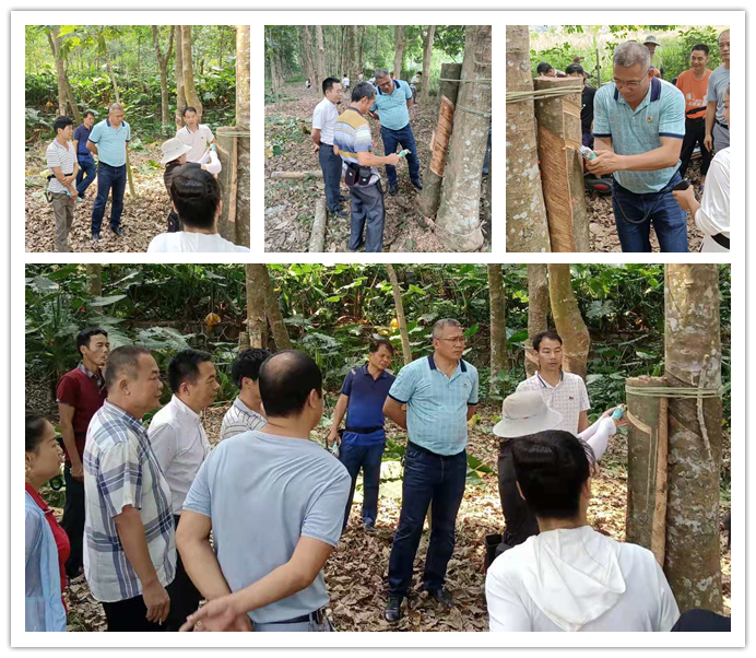 59caaf98eb07cb4245e111d3f700101_副本.jpg 59caaf98eb07cb4245e111d3f700101_副本.jpg