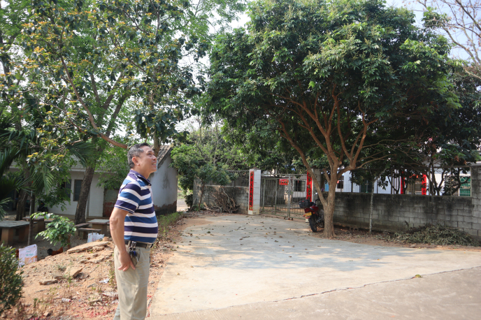 IMG_3423.jpg IMG_3423.jpg