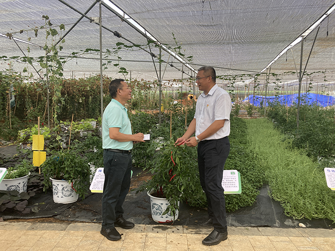 WechatIMG905.jpg WechatIMG905.jpg