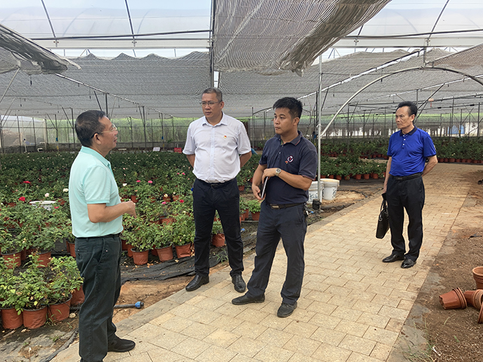 WechatIMG904.jpg WechatIMG904.jpg