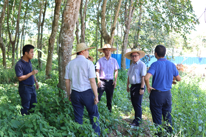 IMG_7216.jpg IMG_7216.jpg