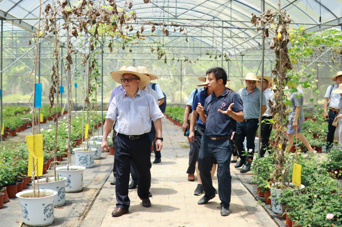 IMG_7199.jpg IMG_7199.jpg