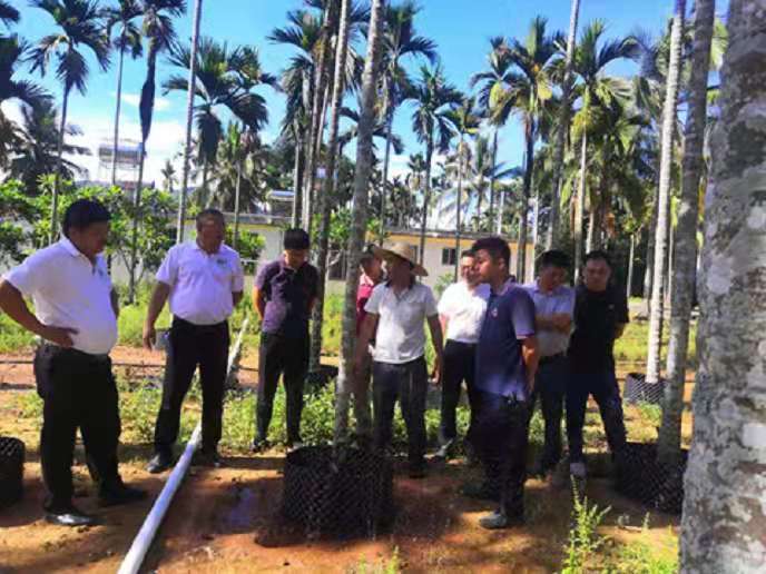 89f6239c241d2099e26e526fbc5a6c2.jpg 89f6239c241d2099e26e526fbc5a6c2.jpg