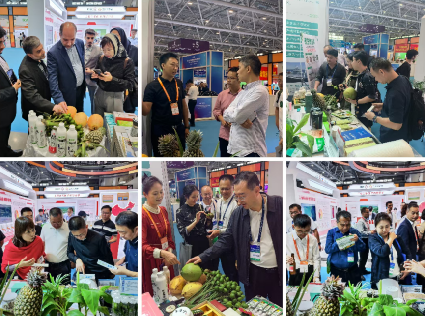 1732280936525.jpg 1732280936525.jpg