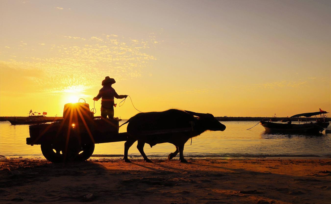 陈开魁《渔歌夕唱》