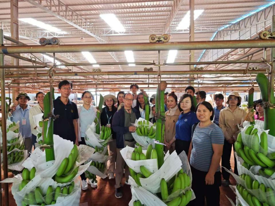 微信图片_2025-11-22_113935_203