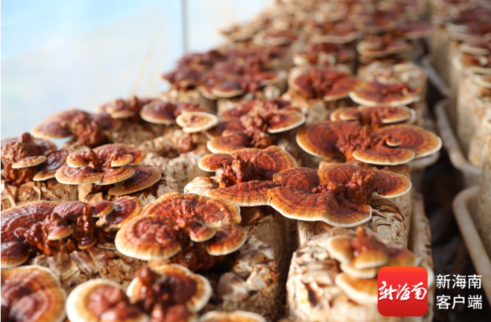 6e2f9e12-28f0-400e-ab3b-431e5bcc450c.png 6e2f9e12-28f0-400e-ab3b-431e5bcc450c.png