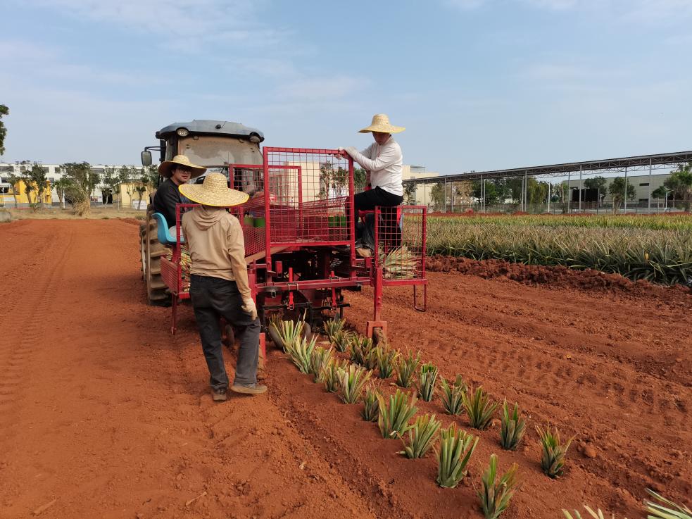 1006b81b658fea7f7d9637ff85aa9b4a