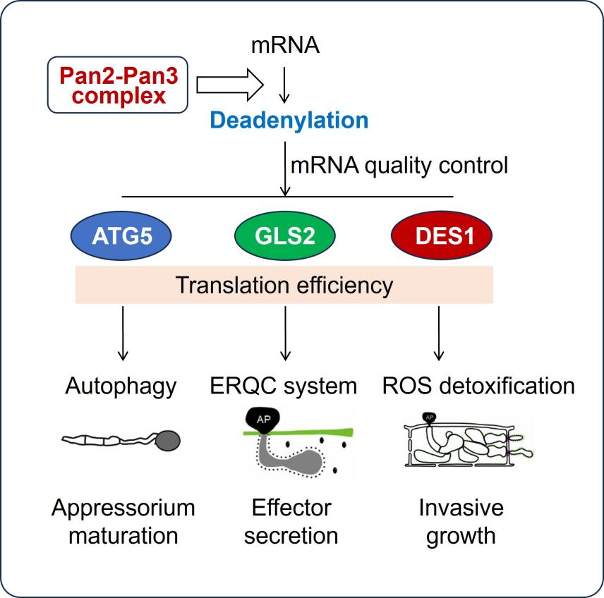 13b5c4c43b1fcd81a3bda96d65e636be