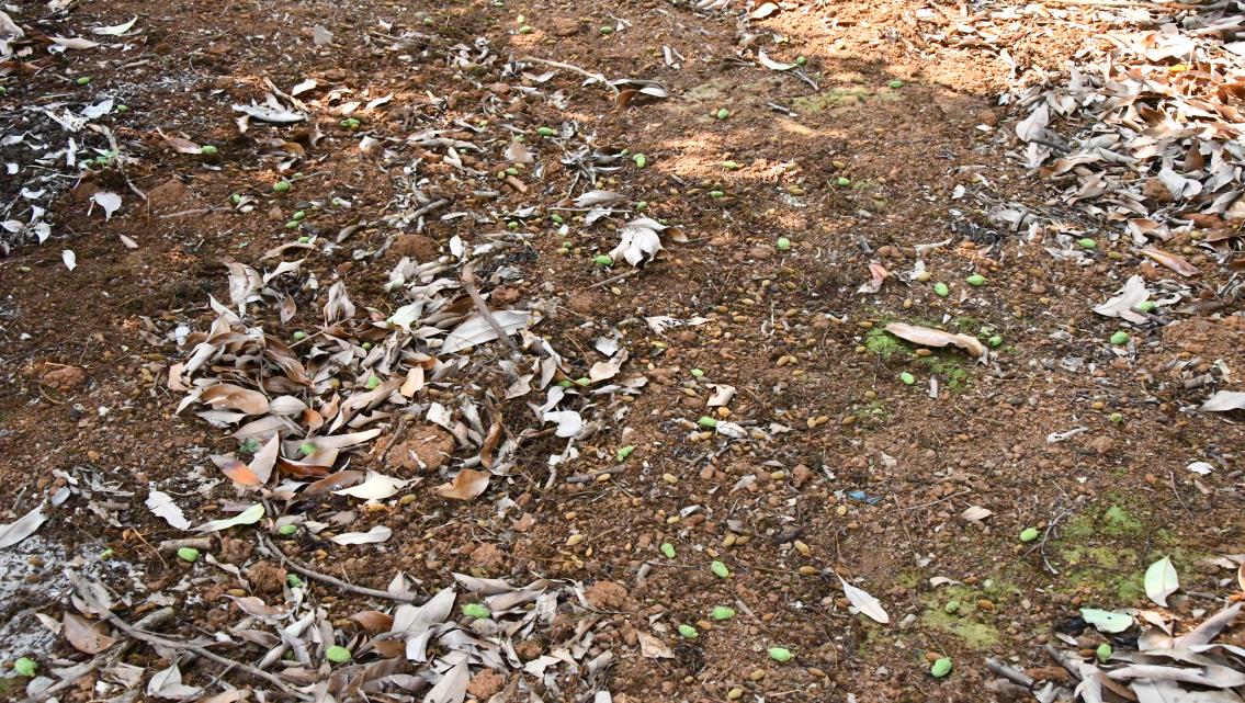 cd2579835002be4b279666b0dc8654fa